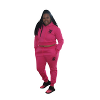 Load image into Gallery viewer, TNT Women&#39;s Crop Sweatsuit
